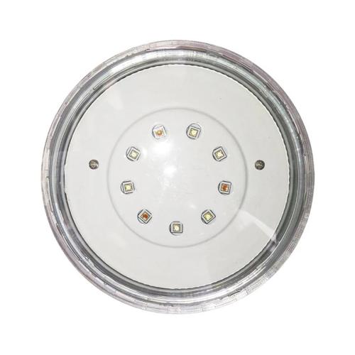 Aqua/Lamp Rainbow Rays LED Single Pool Light