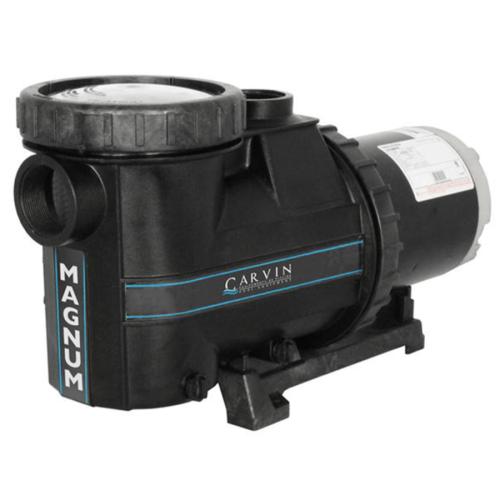 Magnum Inground Pump