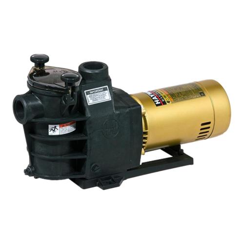 Hayward MaxFlo Pump