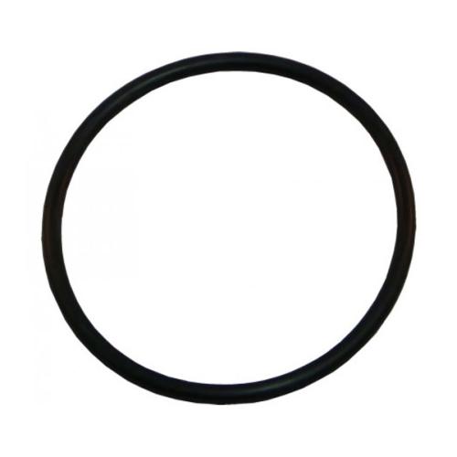  AquaLamp O-Ring