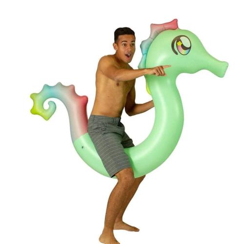 Seahorse Ride-On Pool Noodle