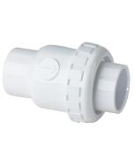 2" Praher Check Valve