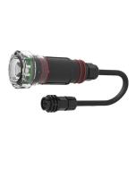 4" Bubbler Light Module 100' Cord C