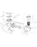 Pentair - Pump Parts - Intelliflo Vs + Svrs Pump (After June 2016)