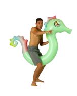 Seahorse Ride-On Pool Noodle